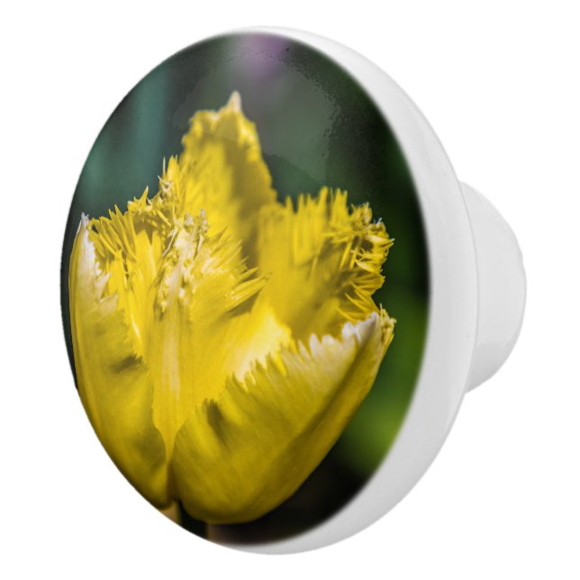 Gult Tulip Knopp (Höger)