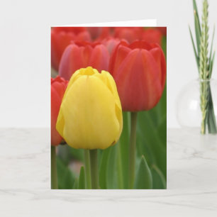 Gult Tulip Kort