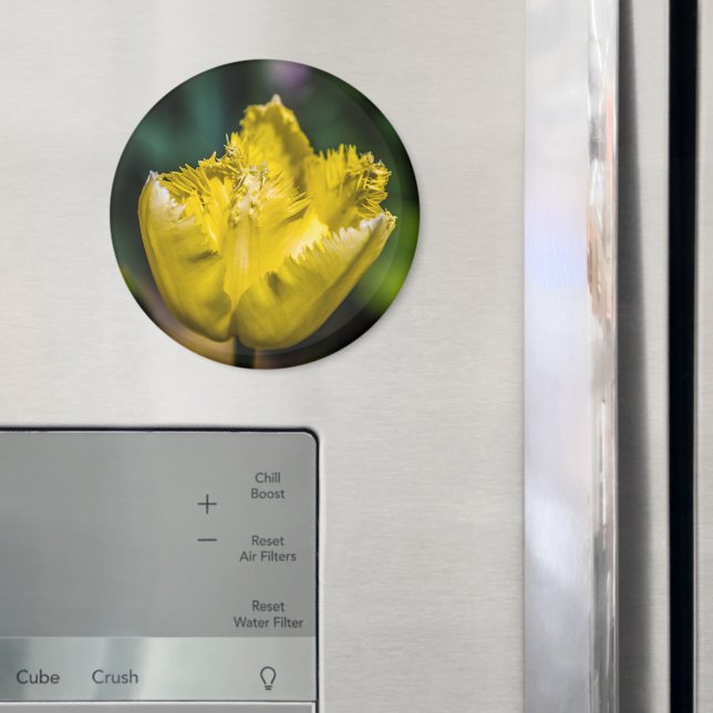 Gult Tulip Magnet (In Situ (Fridge))