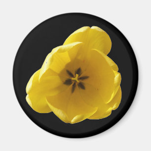 Gult Tulip Magnet