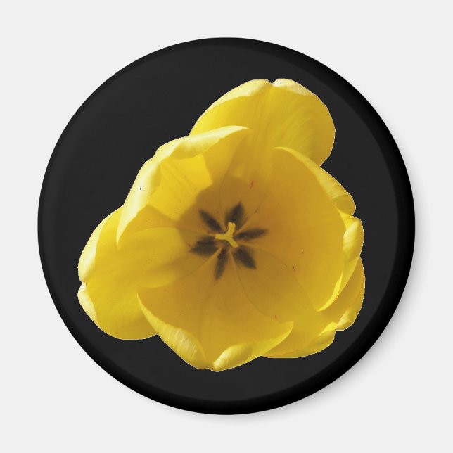 Gult Tulip Magnet (Framsidan)