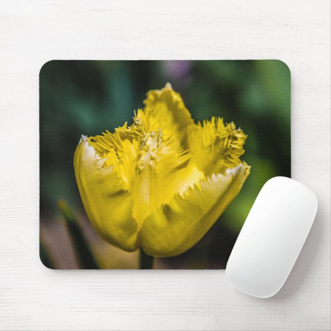 Gult Tulip Musmatta (Med mus)