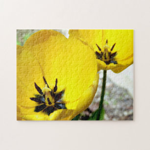 Gult Tulip Photo Puzzle Pussel