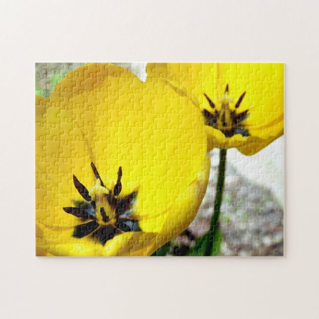 Gult Tulip Photo Puzzle Pussel (Horisontell)
