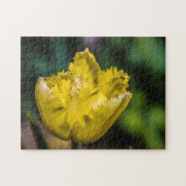 Gult Tulip Pussel (Horisontell)