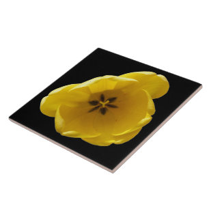 Gult Tulip Tile Kakelplatta