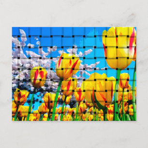 Gult Tulip Weave Vykort