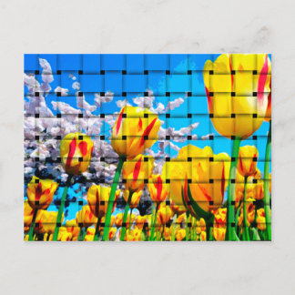 Gult Tulip Weave Vykort