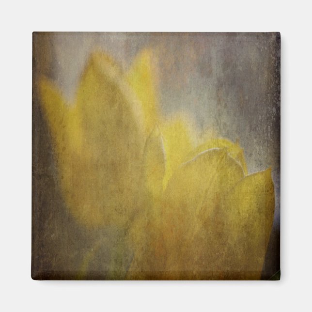 Gult Tulips Flowers Blommigt Art Magnet (Framsidan)
