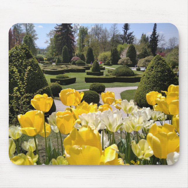 Gult Tulips från Arboretum Volcji Potok Slovenska Musmatta (Framsidan)