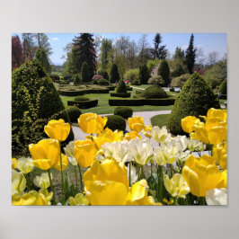 Gult Tulips från Arboretum Volcji Potok Slovenska Poster