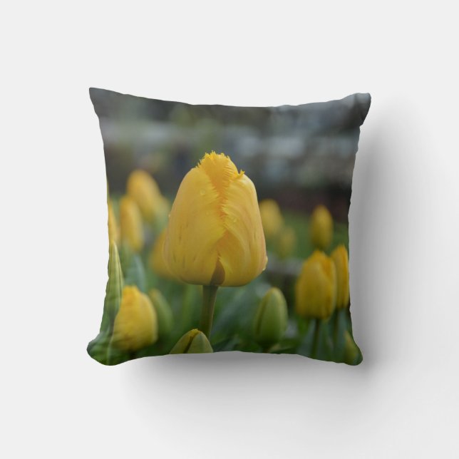 Gult Tulips i fält Dekorativ kudde (Framsida)