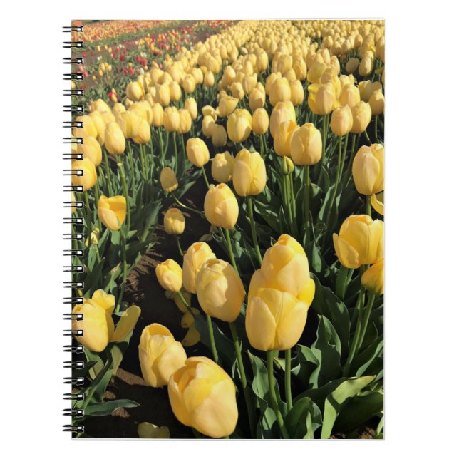 Gult Tulips i Fält, Oregon Anteckningsbok (Framsidan)