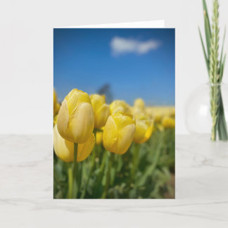 Gult Tulips-kort Kort