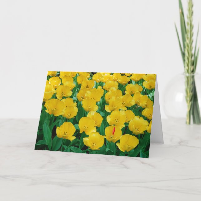 Gult Tulips-kort Kort (Framsida)