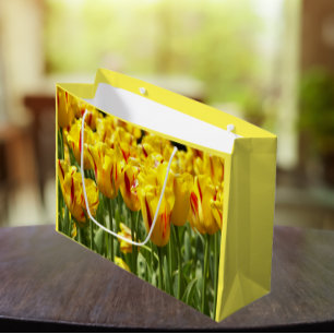 Gult Tulips med Red Rand Blommigt
