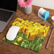 Gult Tulips med Red Rand Blommigt