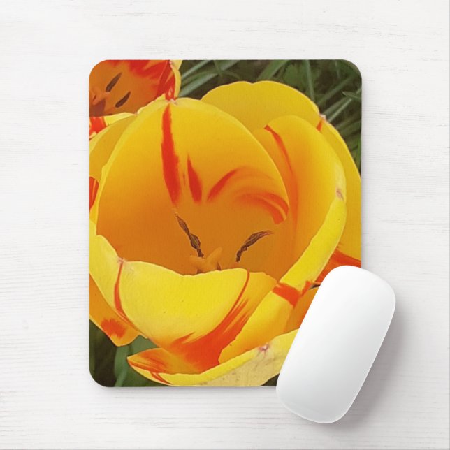 Gult Tulips Musmatta (Med mus)