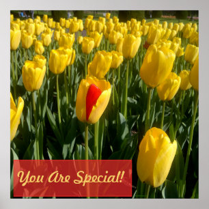 Gult Tulips Poster
