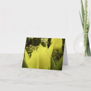 Gult Tulips Springtime Note Card Tack Kort