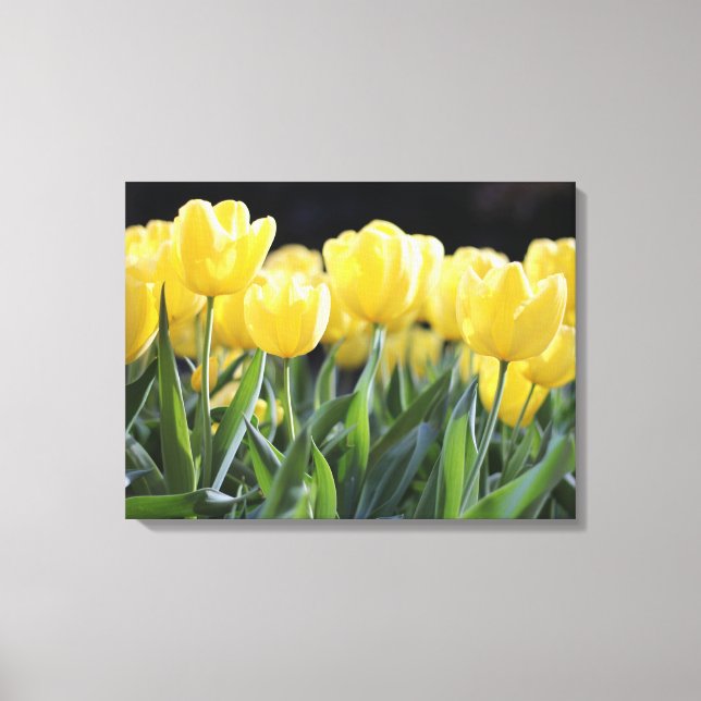 Gult Tulips Wrapped Canvas Art Skriv ut (Framsida)