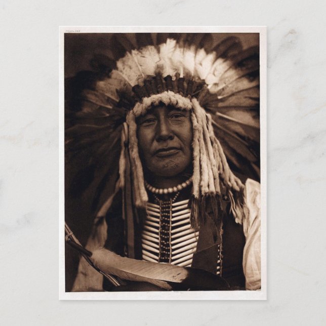 Gult Uggla Vykort (Framsida)