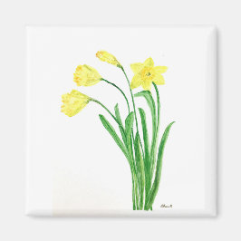 Gult vår blommigt vattenfärgsdaffodils blommor magnet