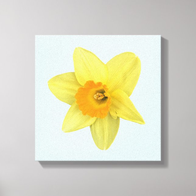 Gult Vår Daffodil Canvastryck (Framsida)