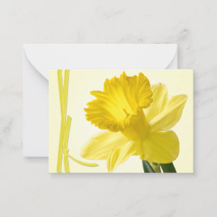 Gult Vår Daffodil Close Floral Photography Anteckningskort