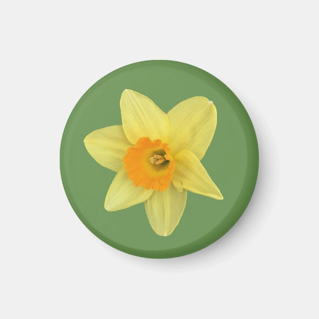 Gult Vår Daffodil Magnet (Framsidan)