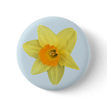 Gult Vår Daffodil på Blek Blue