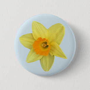 Gult Vår Daffodil på Blek Blue Knapp
