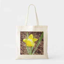 Gult Vår Daffodilfoto Tygkasse