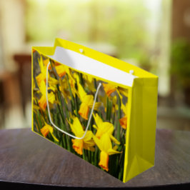 Gult Vår Daffodils Blommigt