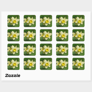 Gult Vår Daffodils Fyrkantigt Klistermärke