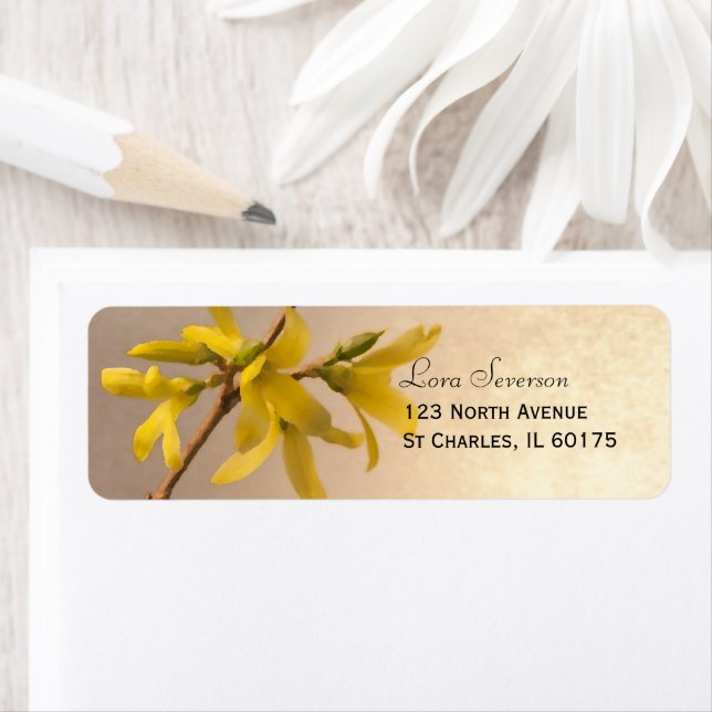 Gult Vår Forsythia Flowers Returadress Etikett (Insitu)