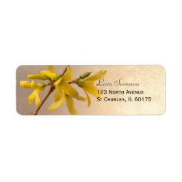 Gult Vår Forsythia Flowers Returadress Returadress Etikett