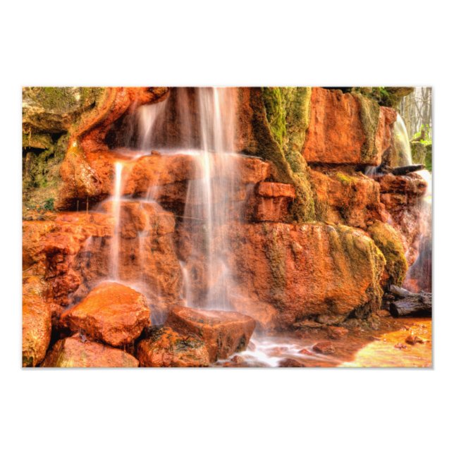 Gult Vår, Glen Helen Nature Reserve, Ohio Fototryck (Framsidan)