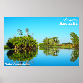 Gult Vatten, Kakadu poster