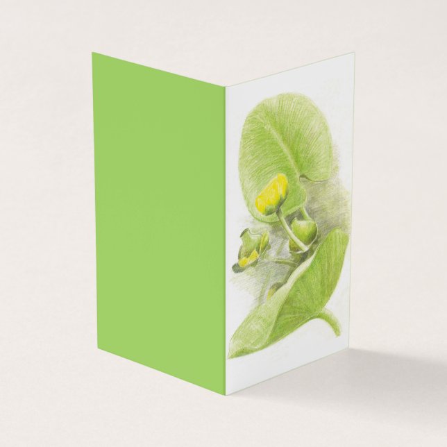 Gult vatten Lily-pennskiss Visitkort (Utsida)