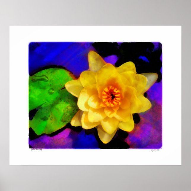 Gult Vatten Lily, tryck (Framsidan)