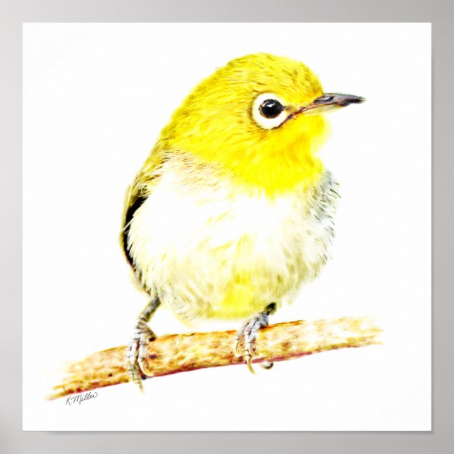 Gult Viro Poster (Framsidan)