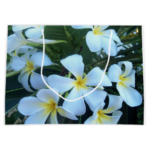 gult, vit, frangipani, blomma, natur, sommar.
