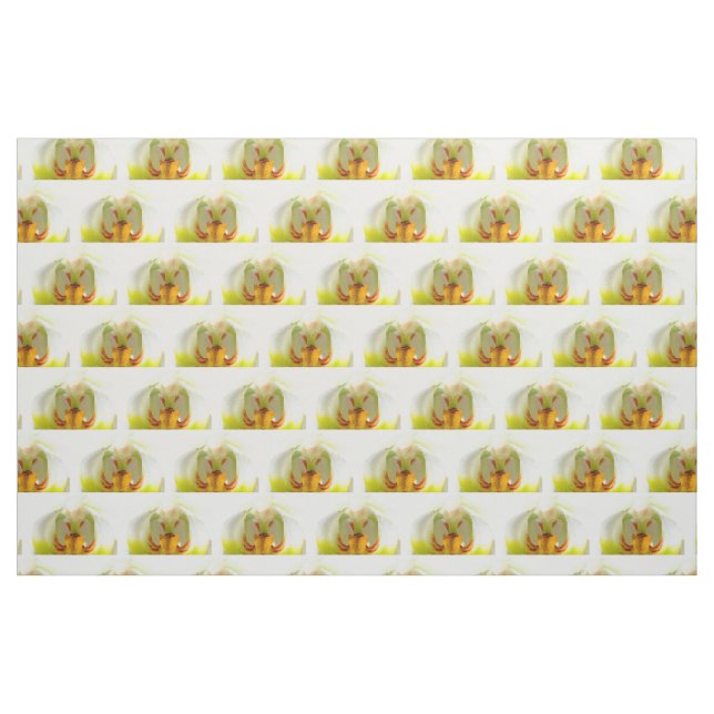 gult-vita orkidéer tyg (Fat Quarter)