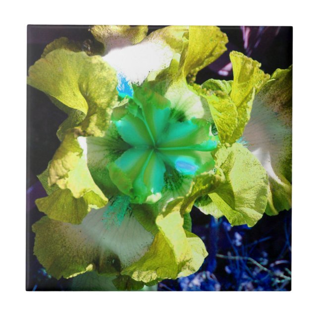 Gult, vitt och grönt Iris Blomstapel Kakelplatta (Framsidan)