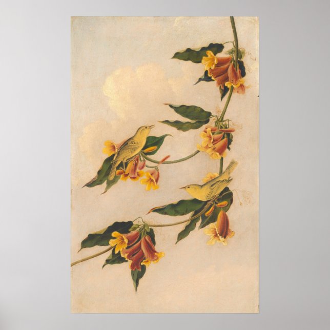 Gult Warbler - Joseph B. Kidd Fine Art Poster (Framsidan)