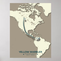 Gult Warbler Migration Karta - Minimalistisk Vinta