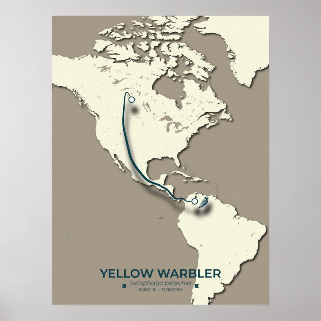 Gult Warbler Migration Karta - Minimalistisk Vinta Poster (Framsidan)