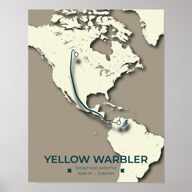 Gult Warbler Migration Karta - Minimalistisk Vinta Poster (Framsidan)
