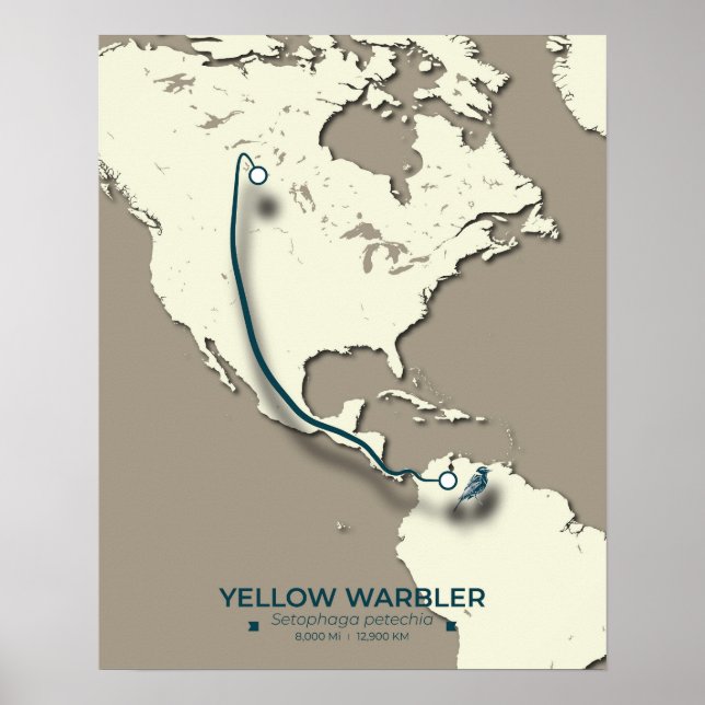 Gult Warbler Migration Karta - Minimalistisk Vinta Poster (Framsidan)